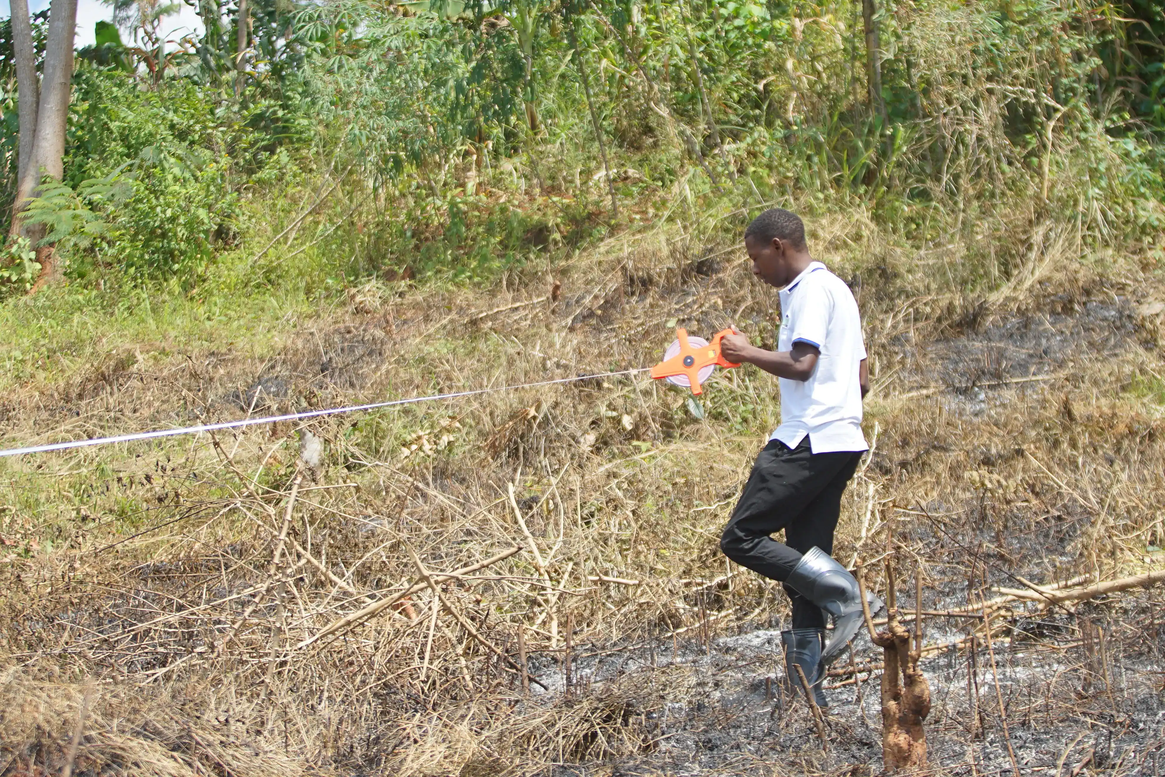 From land to plots
